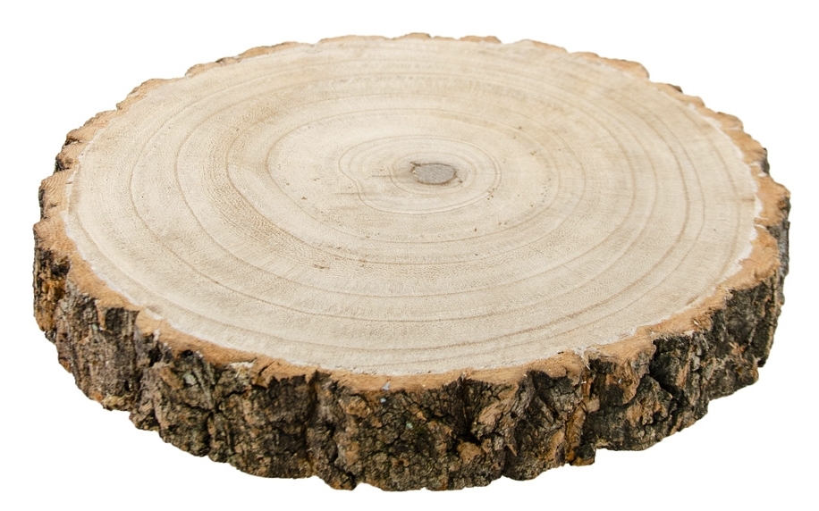 Chaks 10450, Grand Rondin en bois naturel épais (4cm) plat 22-26cm