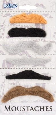Set de 6 moustaches coloris naturels