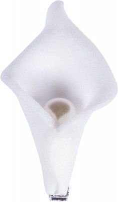 Chaks 0305, Sachet de 6 Arums perles blancs 2,5cm sur pince
