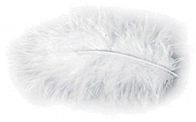 Chaks 0702-00, Sachet 10g de 100 plumes 5-10cm, Blanc