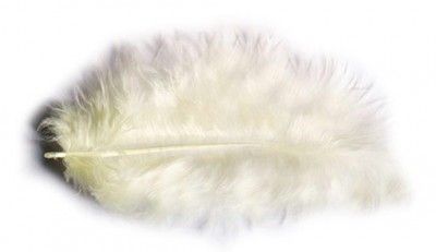 Chaks 0702-01, Sachet 10g de 100 plumes 5-10cm, ivoire