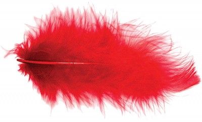 Chaks 0702-02, Sachet 10g de 100 plumes 5-10cm, Rouge