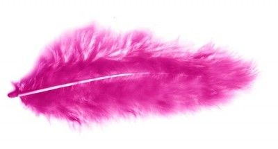 Chaks 0702-05, Sachet 10g de 100 plumes 5-10cm, Fuchsia