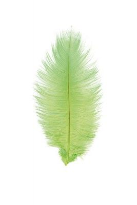 Chaks 0718-11, Sachet de 2 Plumes d'Autruche 30-35cm, Vert