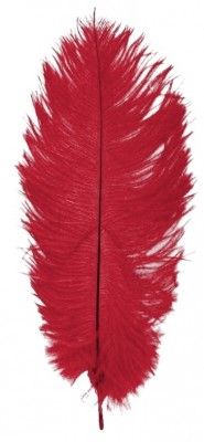 Chaks 0719-02, Sachet de 1 Plume d'Autruche 55-60cm, Rouge/Bordeaux