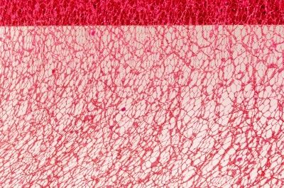 Chaks 0820-82, Ruban de table Glitter 10cm, Rouge