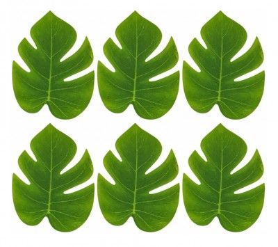 Chaks 10933, Lot de 6 petites Feuilles Tropicales vertes 12 x 15 cm