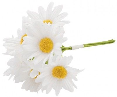 Mini-bouquet de 6 Marguerites 11cm sur tige, Blanc