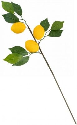 Branche 50cm avec feuilles et 3 Citrons