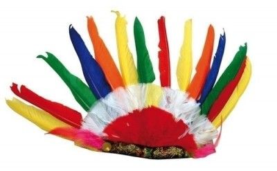 P'TIT Clown re18670 - Coiffe indien multicolore 14 plumes