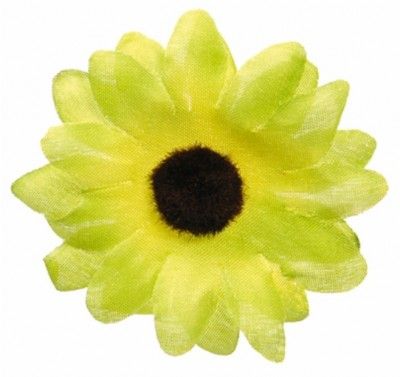 Sachet de 24 Marguerites de TABLE, vert