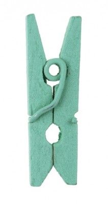 Sachet de 24 mini pinces en bois, Menthe