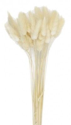 Party Pro 333FS6, Bouquet de 30 bunny tails blanc naturel 60 cm