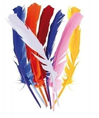 P'TIT Clown re50001 - Sachet de 12 Plumes de 30 cm en assortiment