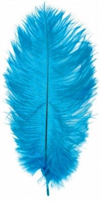 Lot de 5 Plumes d'Autruche Spadona 50cm, Turquoise