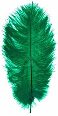 DESTOCKAGE, Lot de 5 Plumes d'Autruche Spadona 50cm, Vert