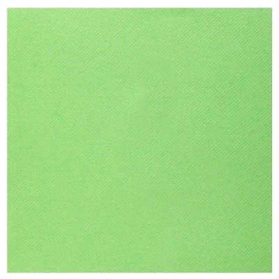 Sachet de 25 serviettes Rainbow Airlaid 40 x 40, Vert