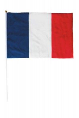 Party Pro 8712, Drapeau France tricolore 30x45 cm avec manche