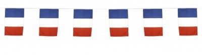 Guirlande drapeaux tricolore 10m
