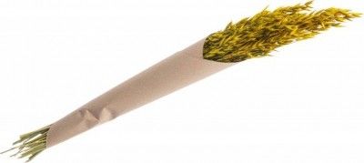 Chaks 11906-19, Bouquet d'avoine séché 65cm jaune