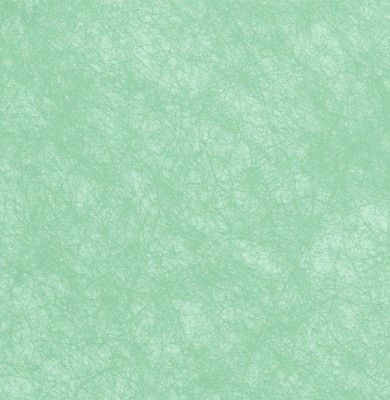 Chaks C50060056 - Rouleau déco luxe Romance 60cm x 10m, Vert pastel