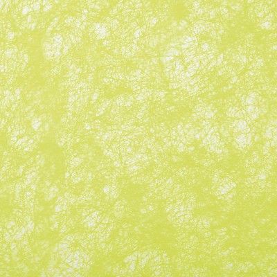 Chaks C50010039, Ruban luxe Romance 10cmx10m, Vert lime