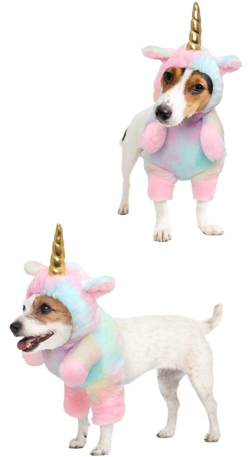 Chaks C4551m Deguisement De Licorne Pour Chien Taille M Articles De Fete Decoration Mariage Deco De Table Anniversaire