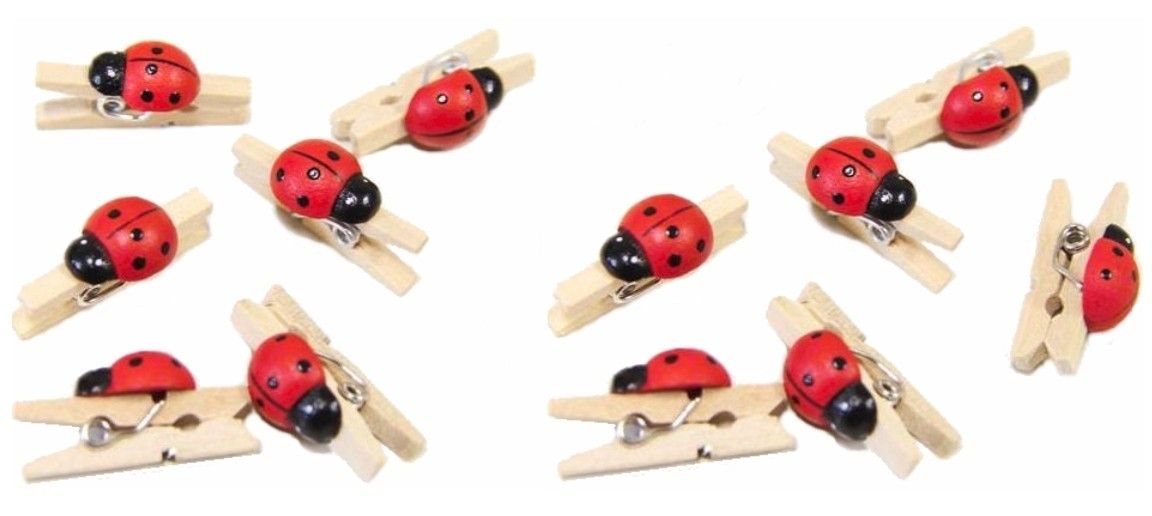 Sachet De 12 Pinces Avec Coccinelle En Bois Articles De Fete Decoration Mariage Deco De Table Anniversaire Sachet De 12 Pinces Avec Coccinelle En Bois Articles De Fete Decoration Mariage Deco De Table Anniversaire