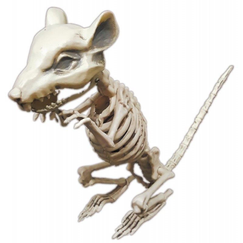Faux Squelette Chauve-Souris Rat Spider Animal Fête Prop pour