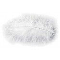 Chaks 0702-00, Sachet 10g de 100 plumes 5-10cm, Blanc