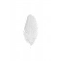 Chaks 0717-00, Sachet de 5 Plumes d'Autruche 20-25cm, Blanc