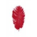 Chaks 0718-02, Sachet de 2 Plumes d'Autruche 30-35cm, Rouge