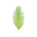 Chaks 0718-11, Sachet de 2 Plumes d'Autruche 30-35cm, Vert