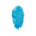 Chaks 0718-12, Sachet de 2 Plumes d'Autruche 30-35cm, Turquoise