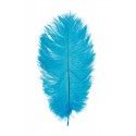 Chaks 0719-12, Sachet de 1 Plume d'Autruche 55-60cm, Turquoise