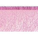 Chaks 0820-03, Ruban de table Glitter 10cm, Vieux rose