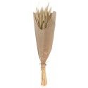 Chaks 11576, Grand Bouquet d'Epis de blé 70cm dans kraft, Naturel