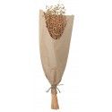 Chaks 11578, Bouquet de Lin 60cm, Naturel