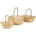 Chaks 13317, Lot de 3 Paniers en Osier naturel avec anse, 36cm et 32cm et 27cm