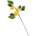 Chaks 13341, Branche 50cm avec feuilles et 3 Citrons