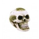 Chaks 13719, Petit Crâne résine avec mousse verte 7cm