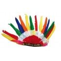 P'TIT Clown re18670 - Coiffe indien multicolore 14 plumes