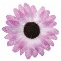 Sachet de 24 Marguerites de TABLE, parme