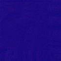 Sachet de 20 Petites serviettes en papier Bleu marine 25 x 25 cm