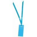 Sachet de 12 marque places rectangle AVEC ruban, Turquoise