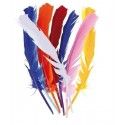 P'TIT Clown re50001 - Sachet de 12 Plumes de 30 cm en assortiment