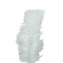 Chaks 50 772230 0, Sachet de 100 Plumes pied plat 15-18cm, Blanc