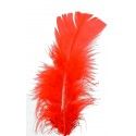 Chaks 50 772230 2, Sachet de 100 Plumes pied plat 15-18cm, Rouge