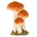 Chaks 90406, Trois Champignons brun/roux Bombés factices sur socle 18cm