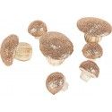 Lot de 7 Champignons en mousse 3,5/6,5 cm paillettes Rose Gold